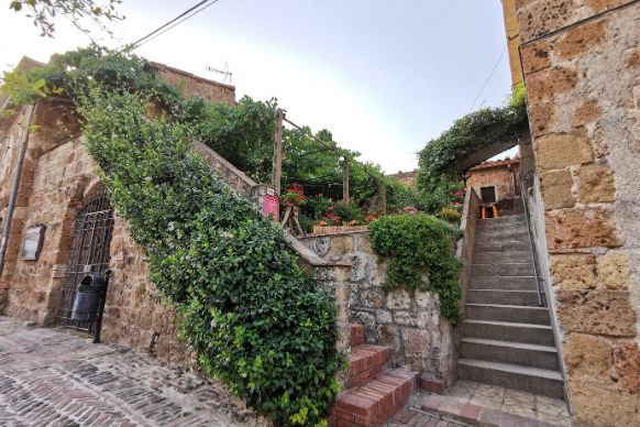 sovana